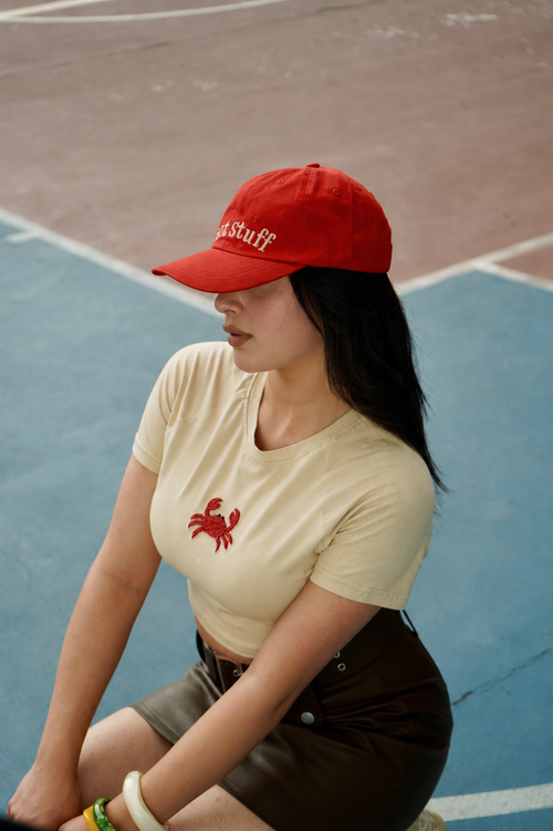 Chic embroidered t-shirts